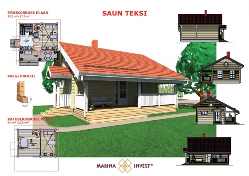 Saun-suvila Teksi